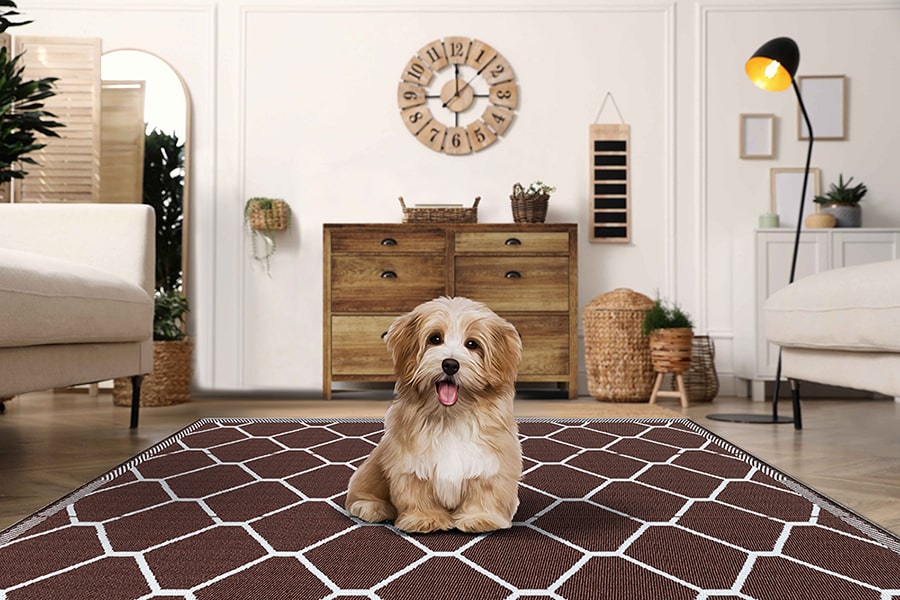 Pet-friendly Polypropylene Plastic Floor Mats - Shradha Mats
